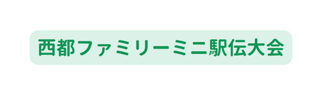 西都ファミリーミニ駅伝大会